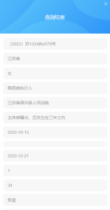 核实是否限制高消费人员-核实网